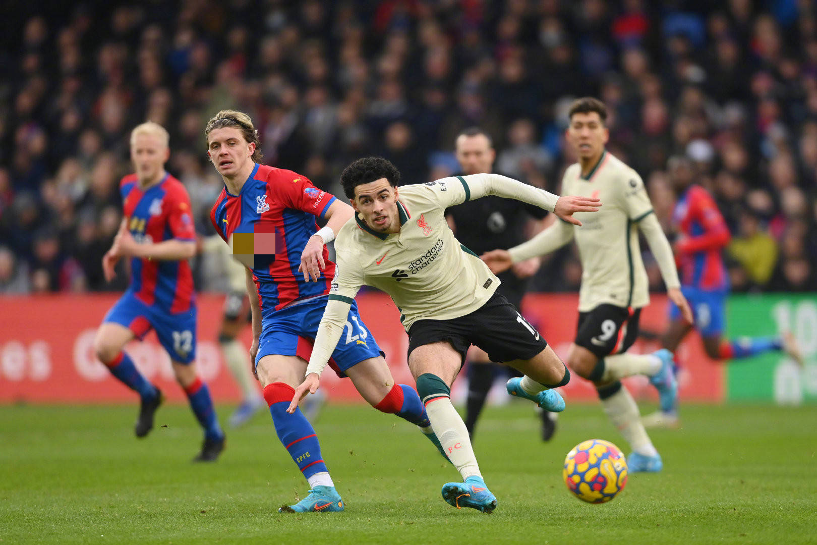 但其真实数 但其真实数